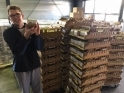 Foto bij Kerstgeschenken