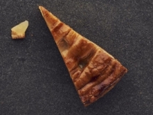 Foto van Appelpunt